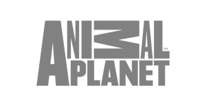 logo icon
